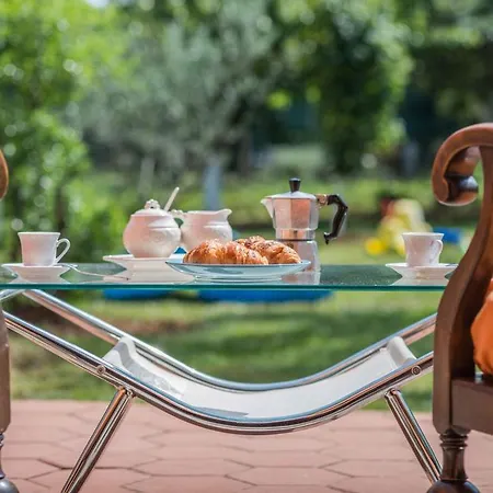 Oliva With Swimming Pool Apartment