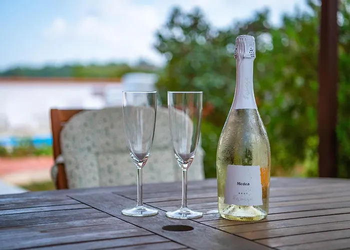 Oliva With Swimming Pool *